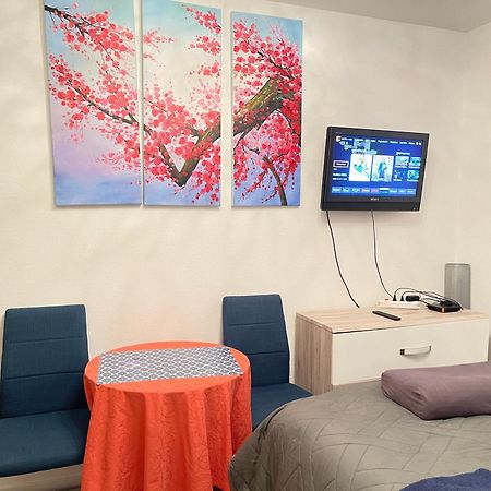 Top Studio Full Optional Saint Louis Vicino Stazione Saint Louis 68300 France Luaran gambar