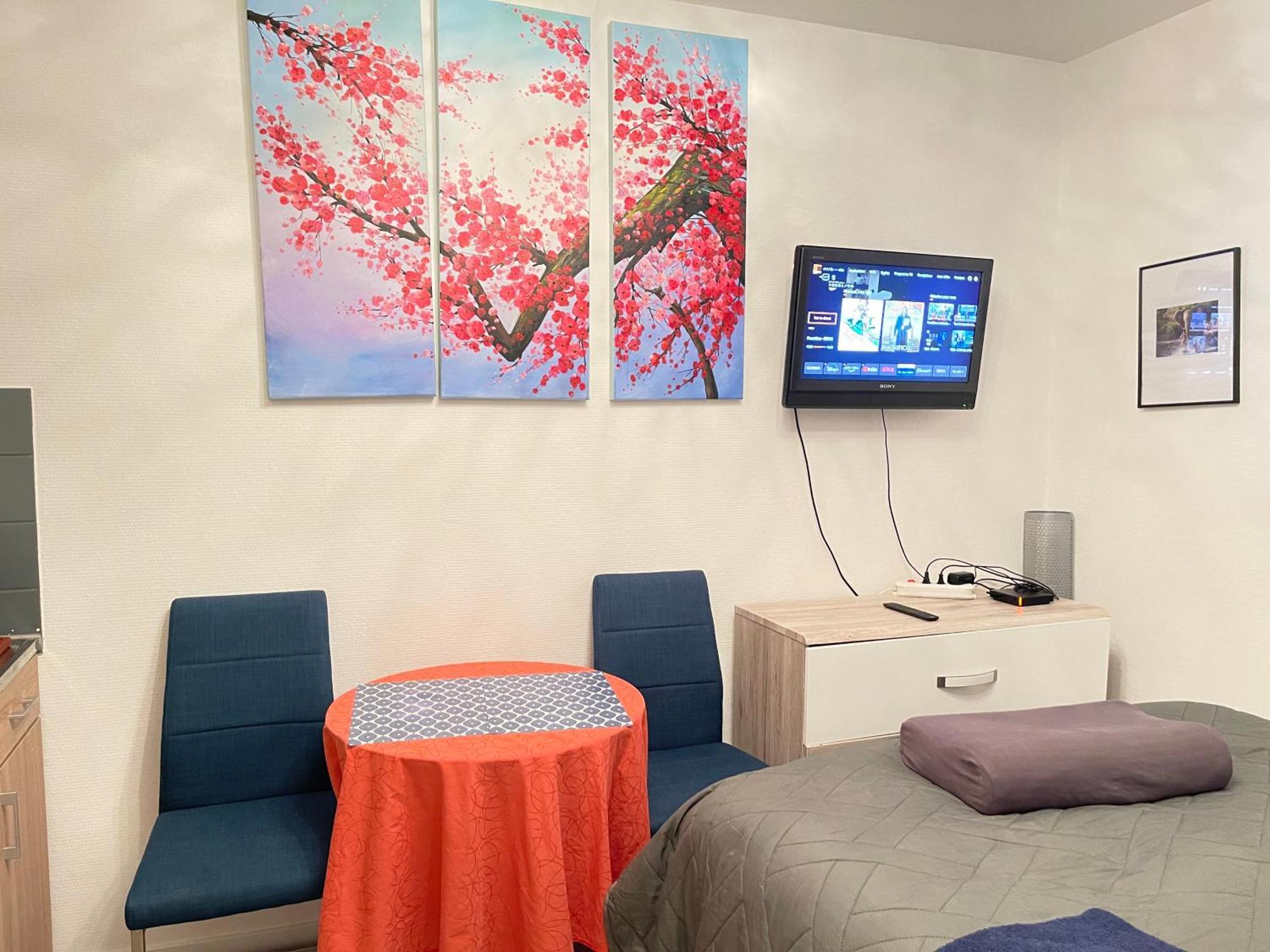 Top Studio Full Optional Saint Louis Vicino Stazione Saint Louis 68300 France Luaran gambar